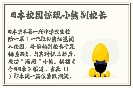 天堂岛WWW最新版在线资源